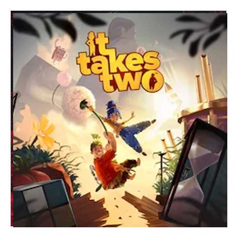 اکانت It Takes Two ظرفیت دوم